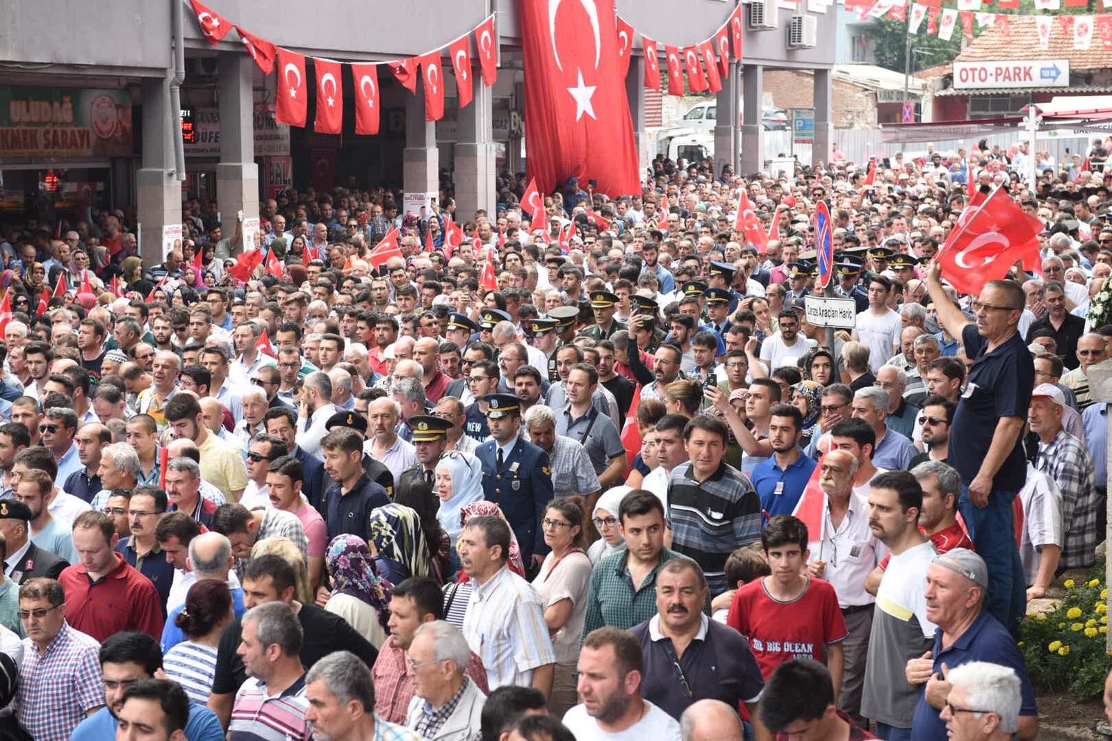 şehit24